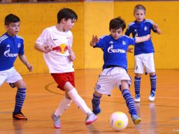 mini-2016-01-30-DSC_4604